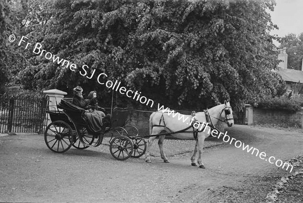 MRS FRANK LILLIS WITH MARY IN PHAETON